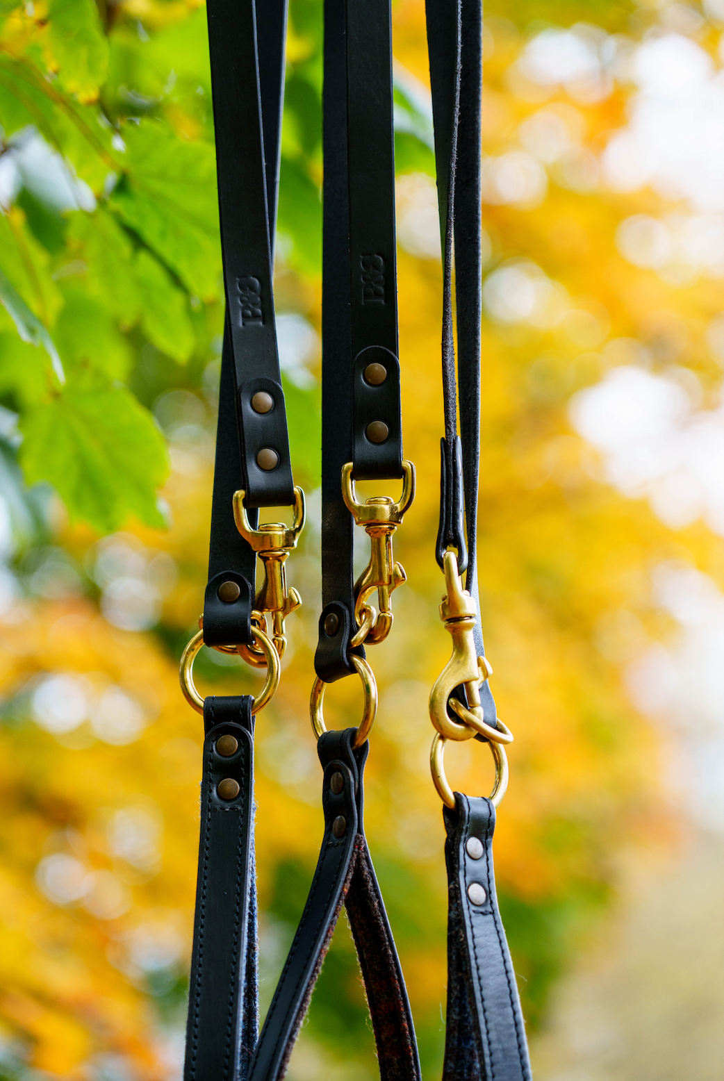 Luxury Leather Dog Leads