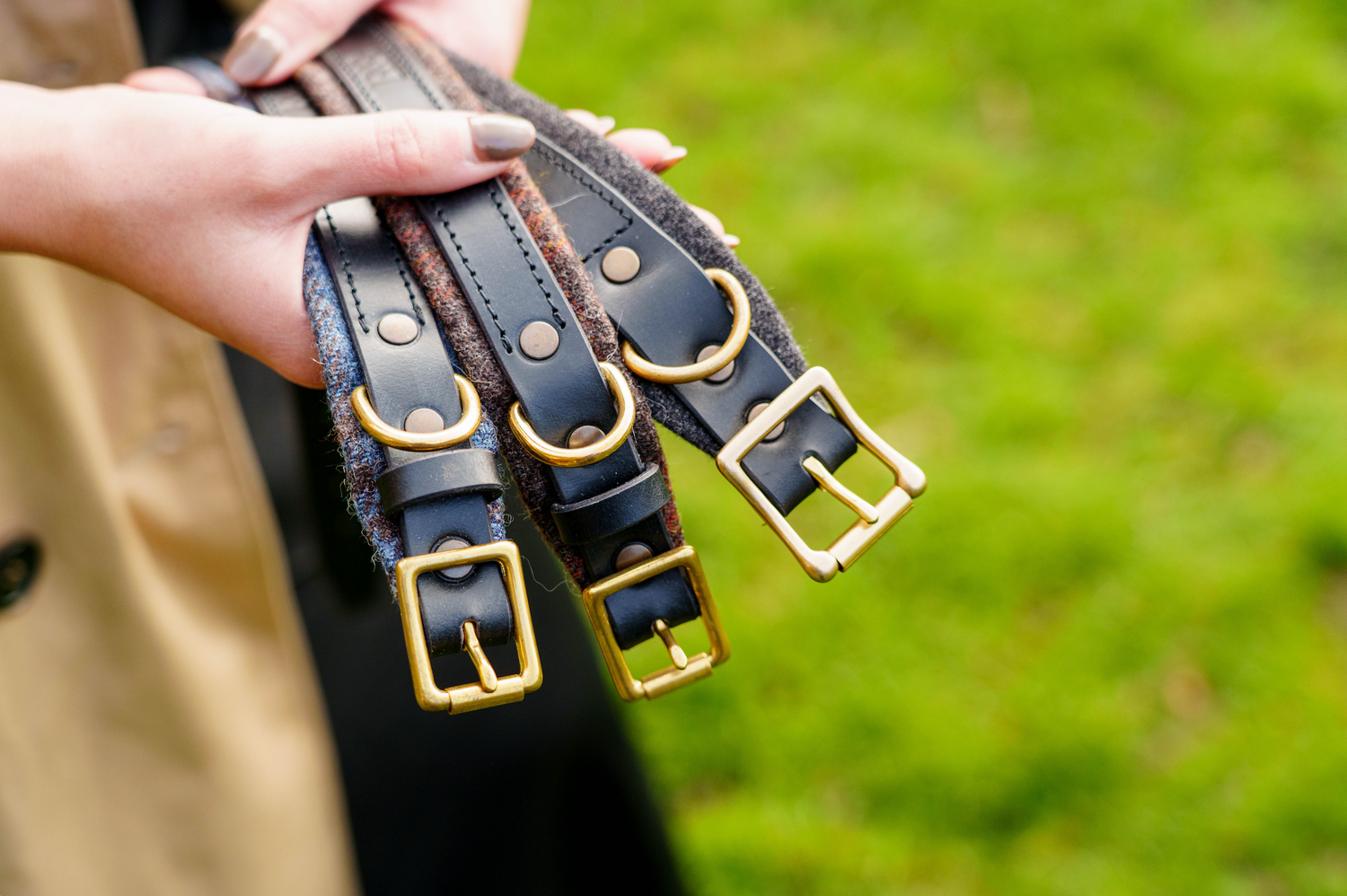 Luxury Leather Dog Collars