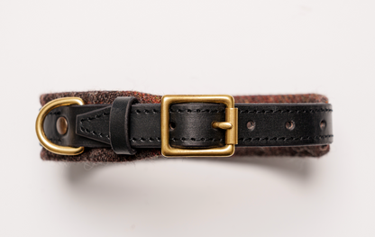 Raeburn Collar